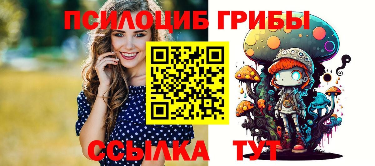 Псилоцибиновые грибы Psilocybe Нефтеюганск