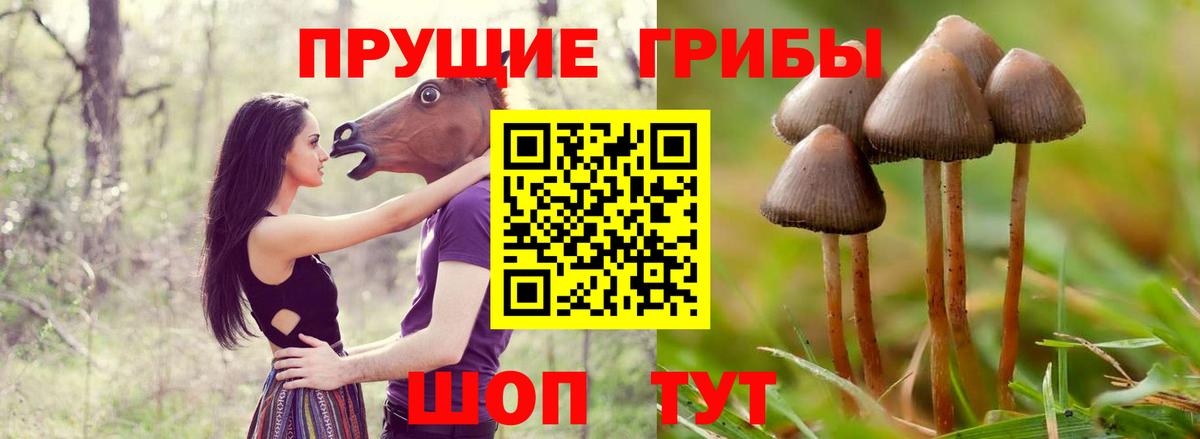 наркота  Псилоцибиновые грибы GOLDEN TEACHER  Вход с VPN  Псилоцибиновые грибы Cubensis  Нефтеюганск 